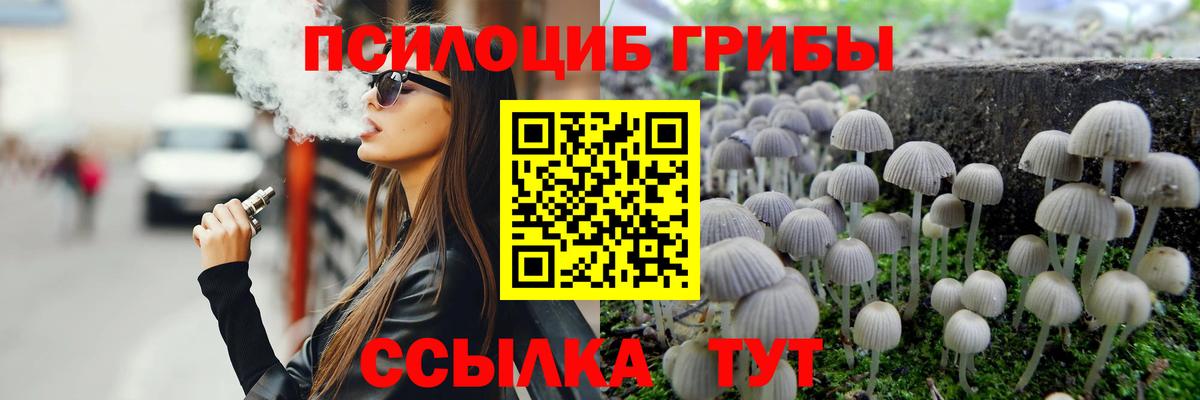 закладки  Псилоцибиновые грибы MAGIC MUSHROOMS  Вход с VPN  Зеленокумск  Галлюциногенные грибы мухоморы 