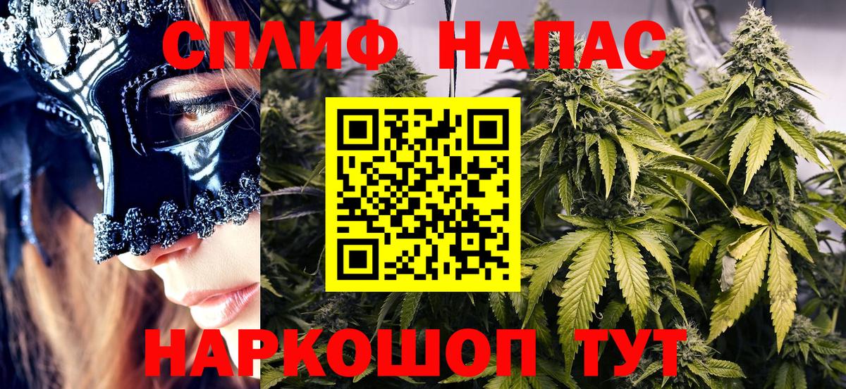Канабис семена Зеленокумск